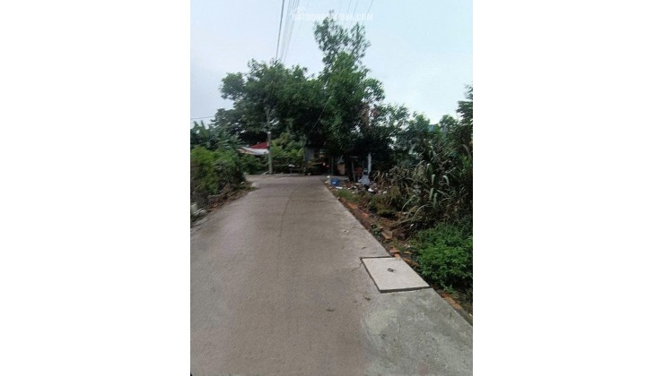 Đất Vuông SHR HXH 300m2 – Tân Hiệp 4 Hóc Môn SS